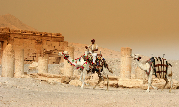 2906632713 90fe371e99 b