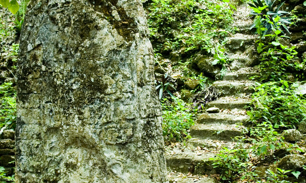 Rae b flickr2   2007