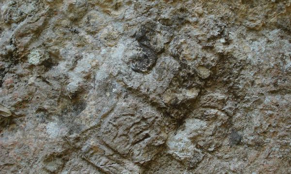 Unbbelize flickr5   2006