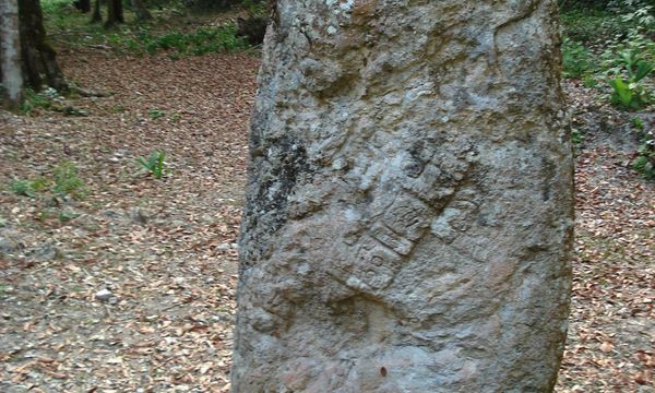 Unbbelize flickr6   2006