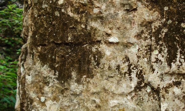 Unbbelize flickr7   2006