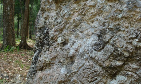 Unbbelize flickr4   2006