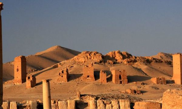 Valleyoftombspalmyra