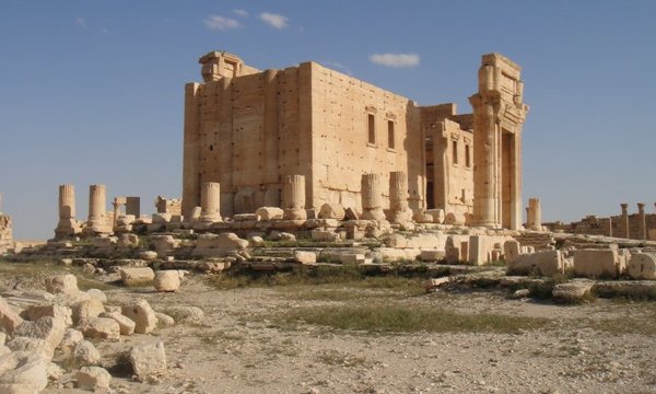 Large the cella ..  syria