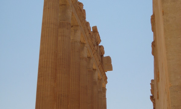 Imported photos 00755 2778637218 o