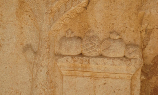 Imported photos 00767 2777804261 o