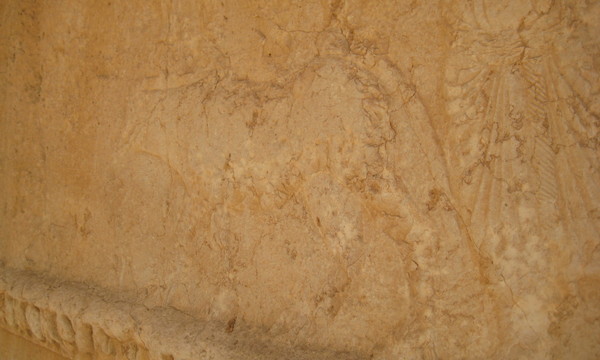 Imported photos 00770 2778666192 o