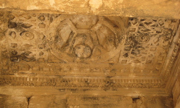 Imported photos 00786 2778702082 o