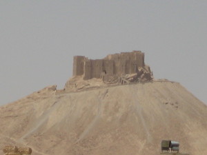 Imported photos 00796 2777863767 o