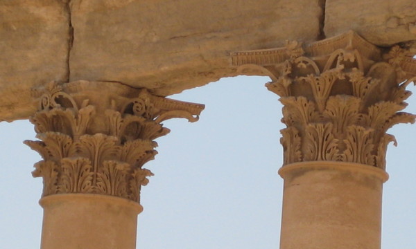 Imported photos 00798 2777867217 o