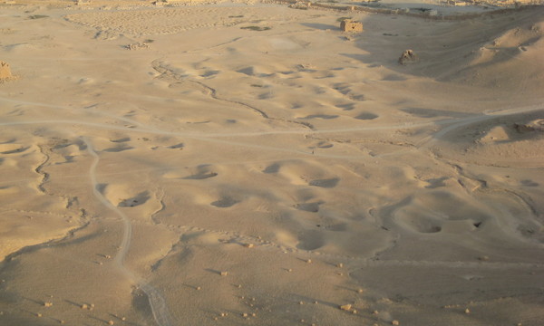 Imported photos 00860 2778012703 o