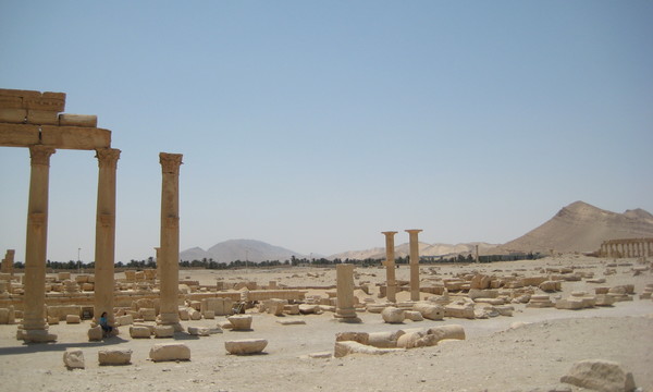 Imported photos 01256 2778773390 o