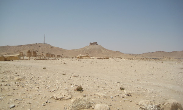 Imported photos 01274 2778807724 o