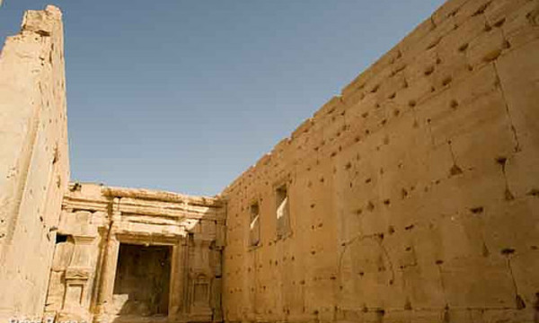 21021201536 b3cd0229c5