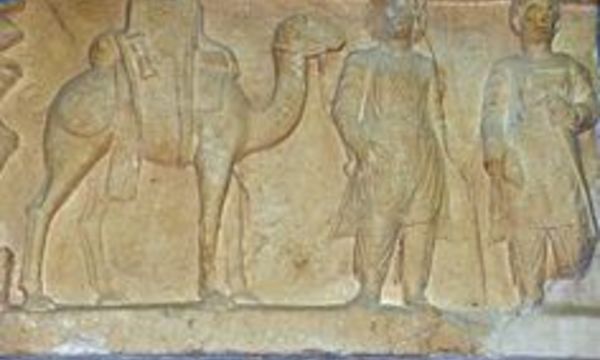 64c7afe4d9dee1c665b03992917fc1a9