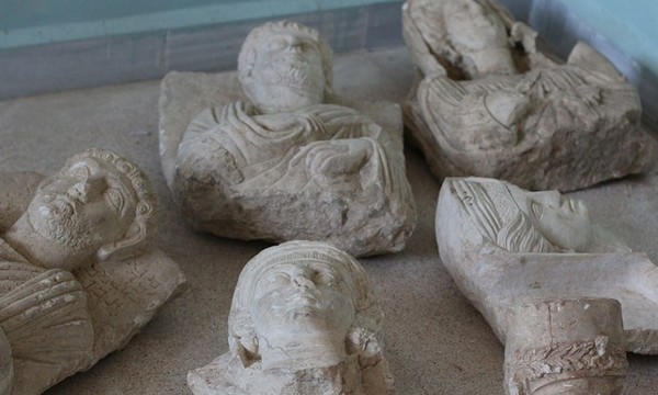 Palm3 e1435852042587