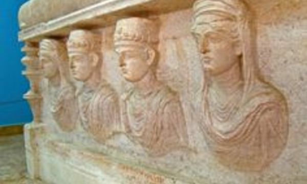 F8d5f4e4dbf728c2fb0ea3b9b29a4233