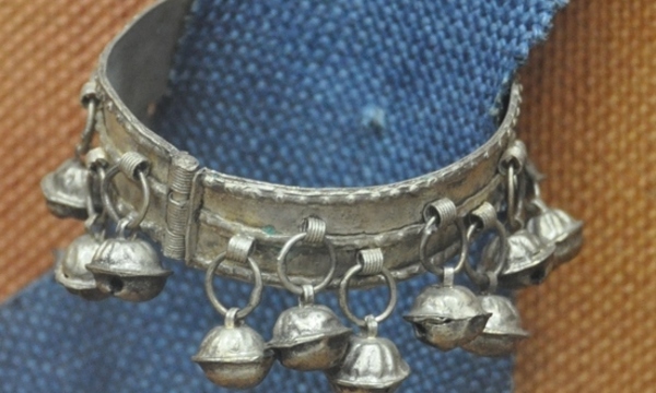 Ankle mus palmyra marco prins