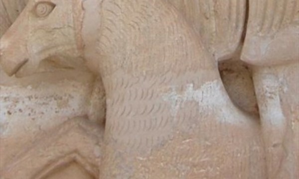 Museum van palmyra19