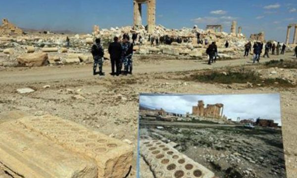 12923173 943835075715112 7424744842152687446 n