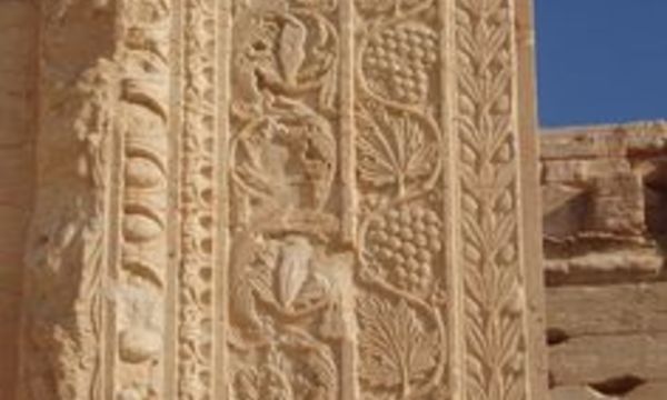 D5edf2e6ef3b64dac23dd884c28d7935