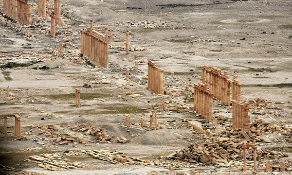 56f831b5c3618856608b45a6