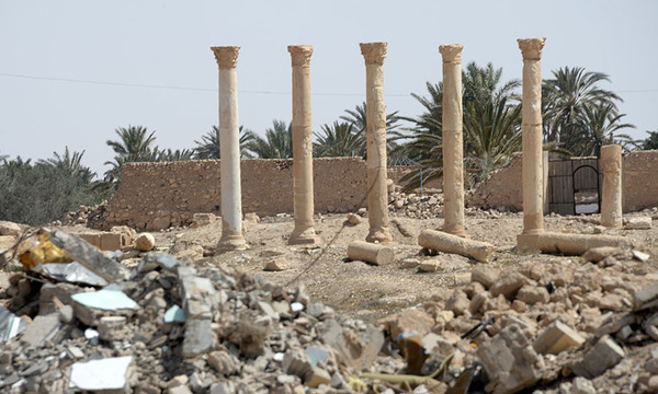 56f83050c46188a9308b45b8