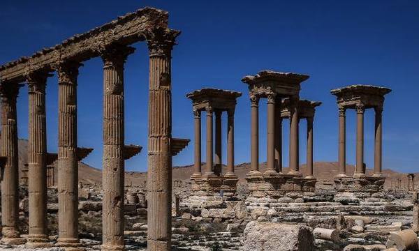 12963946 945756352189651 6704453484572045269 n