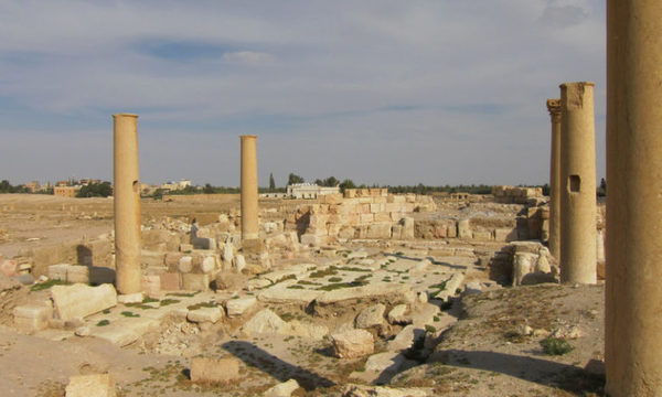 Image 2 basilica iv 768x576