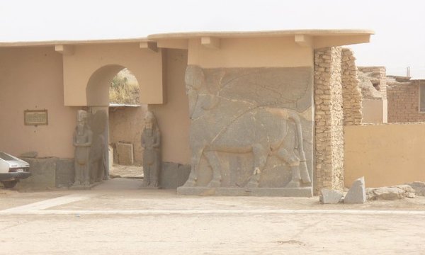 28830 531943778771 2266239 n