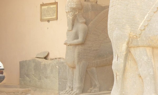 28830 531943793741 6929590 n