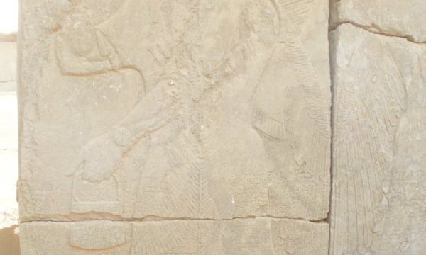 28830 531943868591 2633745 n