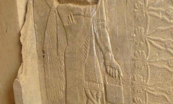 28830 531943913501 4726228 n