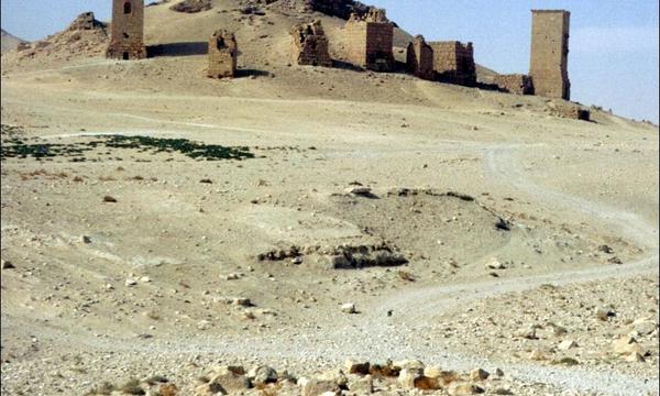 3039779448 c716b56bc3 o