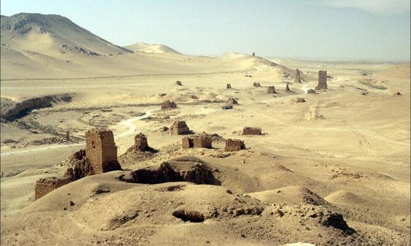 3039776506 86b9821ba9 o