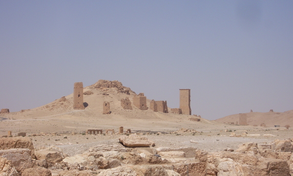 148287159 a19fff6063 o