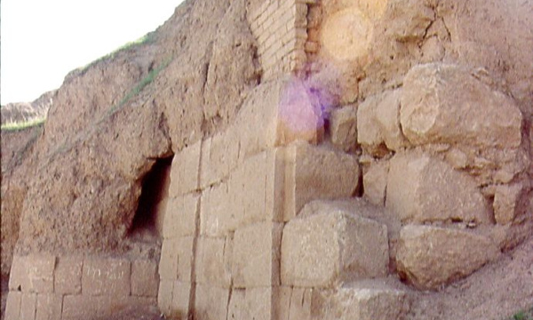 7201150956 d5229278b7 b