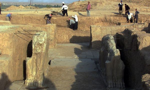 B774bd24 a053 409c 8712 3bedadec6dc9 w987 s s