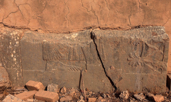 Ibtimes safinhamed afp  15