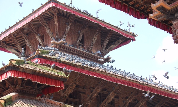 17255955136 de47b09637 o