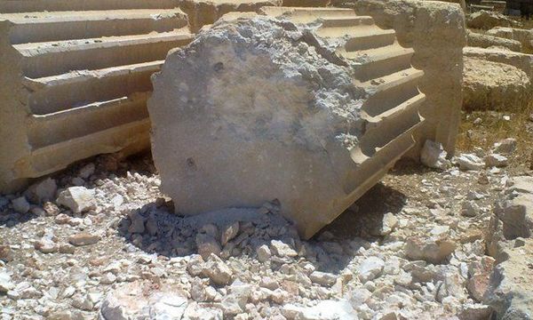  76161271 palmyra fallen column apsa