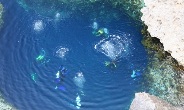 3538584473 afbf539898 o