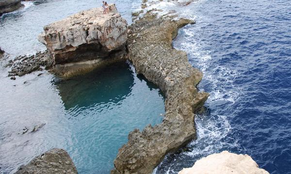 3934628406 8c55143db3 o