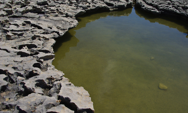 5704193260 f9db57bfcf o