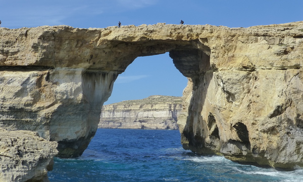 8947117232 c72419b318 o