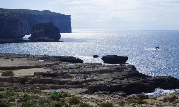 13880307283 ed0461739f o