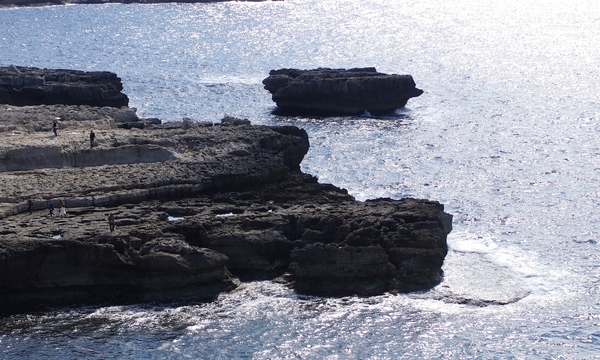 13880323103 5d8aa23570 o