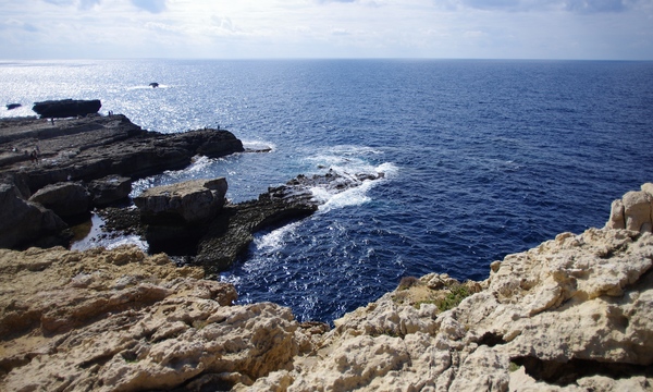 13880669714 98788e2cf9 o