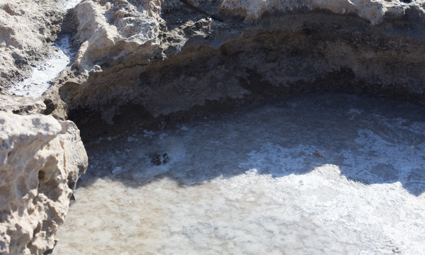 14215530580 1ff62678c3 o