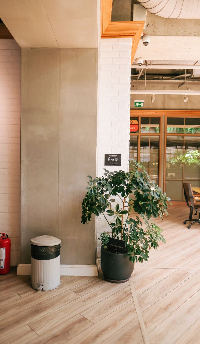 Building Maintenance vs. Commercial Cleaning: Key Differences